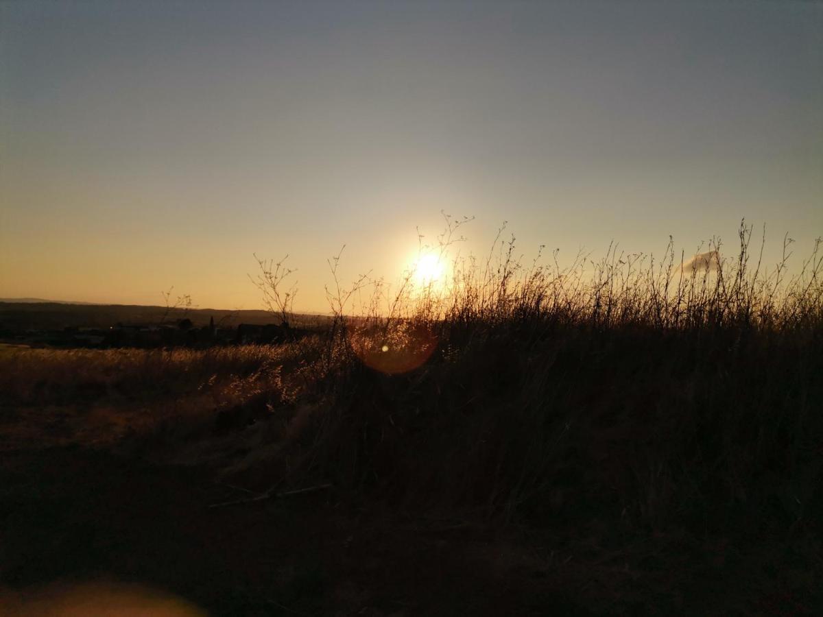 Paredes Com Memoria Holiday home Vila Ruiva (Beja)